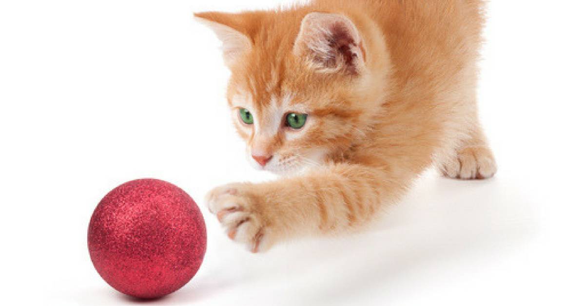 The Ornament Exchange Game How to Play White Elephant Rules